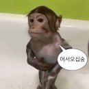 한국관 | 상봉 한국관 평일 여자 후기 feat.추첨