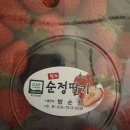 권순정농장 이미지