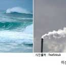 생활속의 H 티스토리