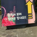 (주)바이오덱 | 밀바엔보고 하룰라라 갈게요🪽