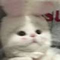 이문913