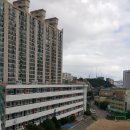 부산서중학교 이미지