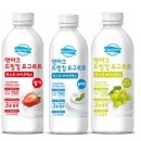 덴마크유산균맛집