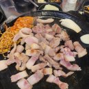 벼락금돼지 이미지