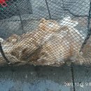 나라3호 이미지