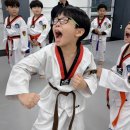 수청별빛 태권도장 이미지