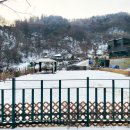 [가평] 서울 근교 애견 동반 글램핑 개별 운동장 불멍 캠프위드펫&amp;애견글램핑 만족 후기