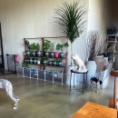 쿠치아 | 충남 서산 쿠치아, 만족도 200% 애견 카페&amp; 운동장&amp; 호텔링&amp; 유치원 (내돈내산 솔직후기)