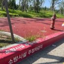 주정차-11 이미지