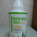 겔배하우스