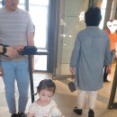 붕붕카프라자 이미지