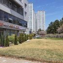 통영동물병원 이미지