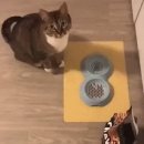 벽산의료재단 이미지