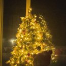 스테이 댕쥬르 이미지