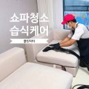 클린아이 | 경기 동탄 병점 클린닥터 쇼파청소 후기 아이·반려동물 있는 집 필수 위생 서비스