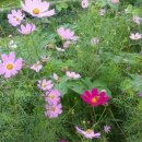 길마행정사 사무소 이미지