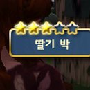 스타심 네이버블로그
