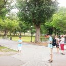 다정한 가 이미지