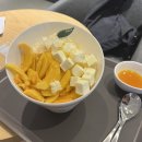 노느라 바쁜 일상