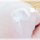 제주실사