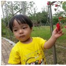 달미공원 이미지