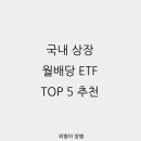 국내 상장 월배당 ETF TOP 5 추천 (2026년 최신판) 이미지