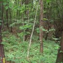 칠갑산 목장 이미지