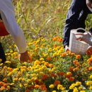 강빛꽃두레협동조합 이미지