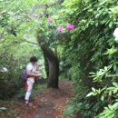 강정동-7 이미지