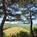 금이네이야기 | 공주 여행 필수코스｜국립공주박물관 후기, 무령왕릉과 함께 꼭 가세요