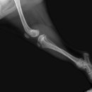 와이즈24시 동물병원 이미지