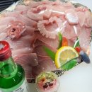 민영활어공장산본 이미지