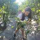 예안농장 이미지