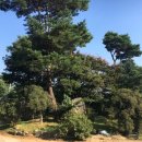 당리보건진료소 이미지