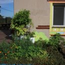 향봉로 | 가족같은 따뜻함이 있는 화성요양원 효마을365요양원 방문 후기