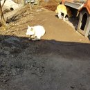 풍산농장 이미지