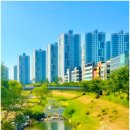 해도근린공원 | 세종 수국 명소 제천뜰근린공원 후기