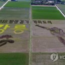 [2018 평창]"강릉 첫인상 확 바꾼다"…시 관문 대대적 정비 이미지