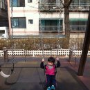 더부리공원 Daum카페