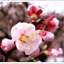 이*학 - 안양시 만안구 | 이*학