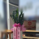 새순약국 이미지