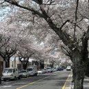 효돈동-2 이미지