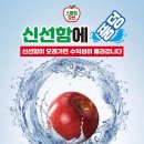 (주)오션 이미지