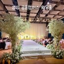 사임당로23길 12 (1) | 삼성금융캠퍼스 웨딩 홀 결혼식 비전홀 후기 뷔페 식사 및 주차