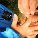 화인유치원 이미지