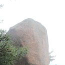 고흥농협주유소 이미지