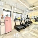 임스타핏 이미지