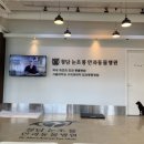 윌리하니 그루밍 이미지