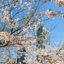 수영강변 공중화장실 이미지