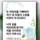 샬롬 Daum카페